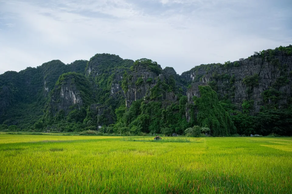 Kho gạo của Nguyễn Tấn Tổng